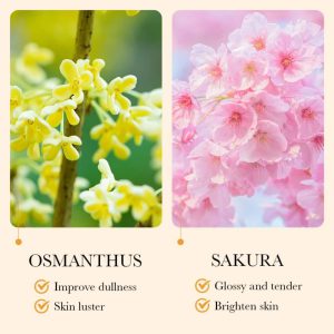 کره بدن گل اسمانتوس بیواکوا